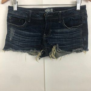 SDT Distressed Blue Jean Shorts Size M/8